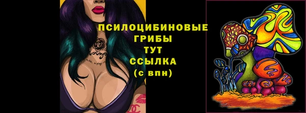 ПСИЛОЦИБИНОВЫЕ ГРИБЫ Алексеевка