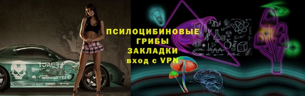 ПСИЛОЦИБИНОВЫЕ ГРИБЫ Алексеевка