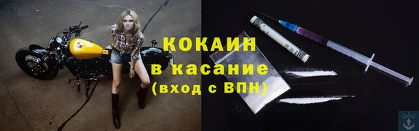 прущие грибы Алексин