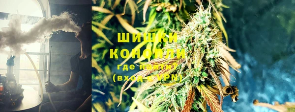 прущие грибы Алексин